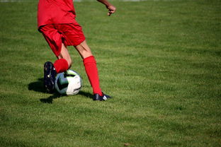 篮球运动员心理素质测评体系构建，篮球运动员心理素质的重要性