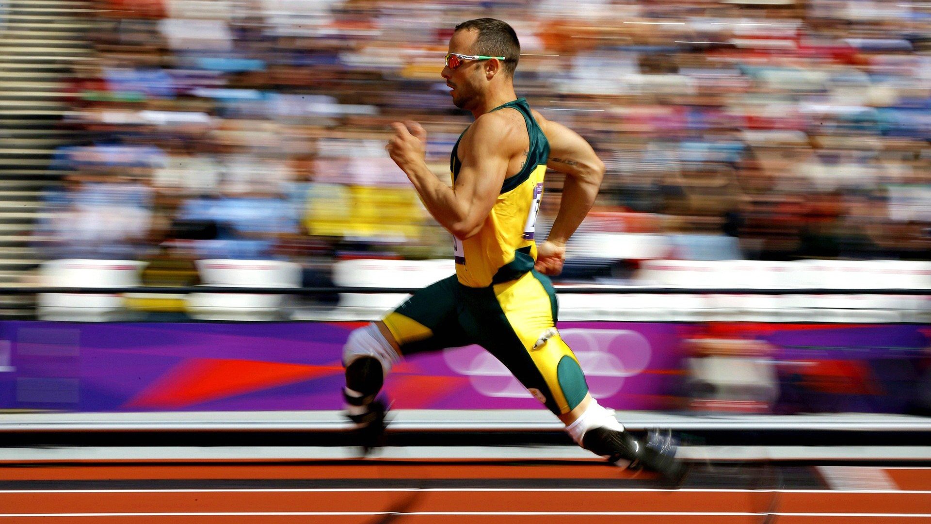 运动营养品市场监管政策执行情况分析，我国运动营养食品的使用国家标准